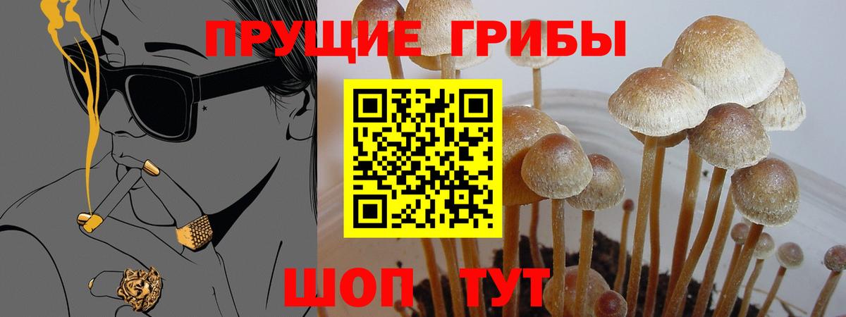 Псилоцибиновые грибы прущие грибы Донецк
