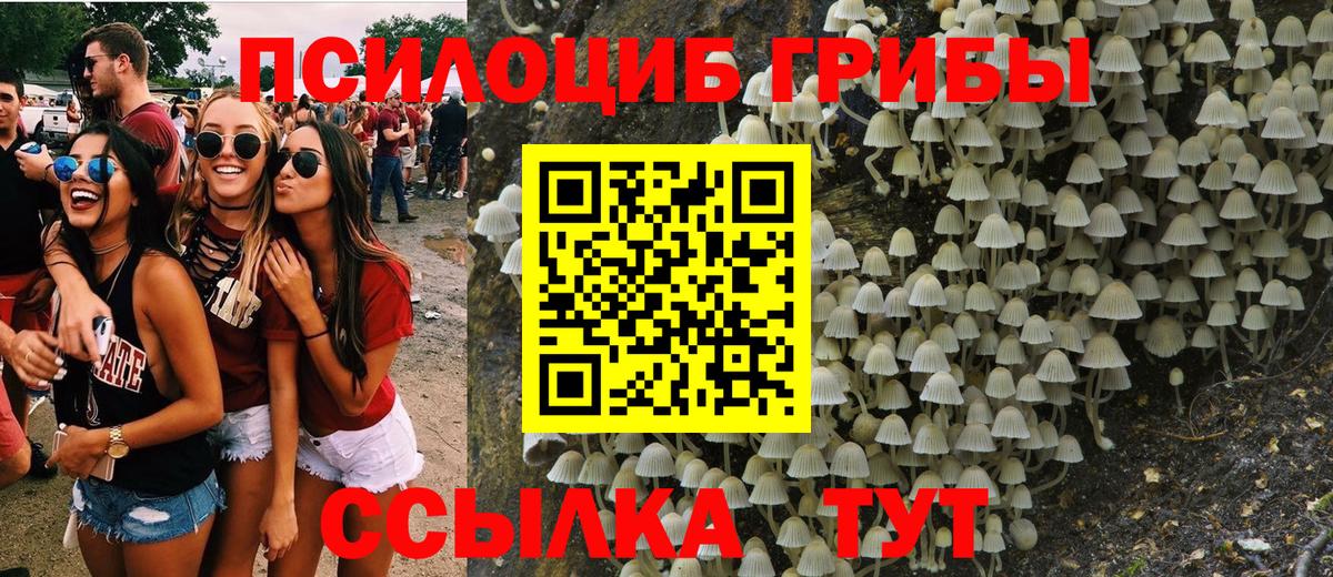 Донецк  Галлюциногенные грибы прущие грибы  Вход с VPN  Галлюциногенные грибы мухоморы 